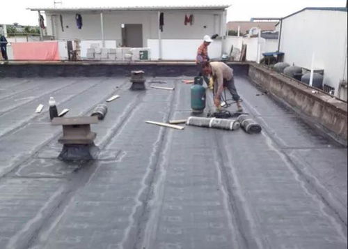太原下元专业做房屋顶防水修漏水